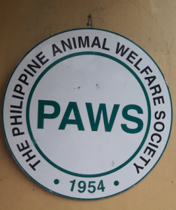 At the PAWS headquarters.